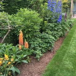 Strulch Mineralised Straw Garden Mulch -Gardenista Store 100086 4