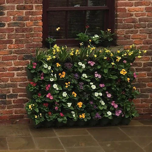 WonderWall Vertical Growing System - 4 Sections 5 WonderWall Vertical Growing System - 4 Sections - Image 5