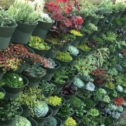 WonderWall Vertical Growing System - 4 Sections 15 WonderWall Vertical Growing System - 4 Sections -Gardenista Store 130245 6