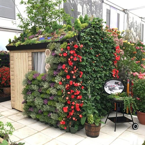 WonderWall Vertical Growing System - 10 Sections 6 WonderWall Vertical Growing System - 10 Sections - Image 6