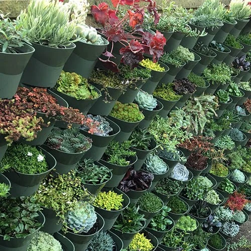 WonderWall Vertical Growing System - 10 Sections 7 WonderWall Vertical Growing System - 10 Sections - Image 7