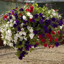Easy Fill Hanging Baskets 38cm (15in) Pair 13 Easy Fill Hanging Baskets 38cm (15in) Pair -Gardenista Store 130257 6