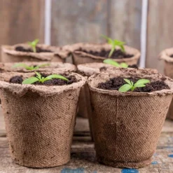 Skelly Tray X 3 And 36 Jiffy Bio Pots 10 Skelly Tray X 3 And 36 Jiffy Bio Pots -Gardenista Store 130325 3