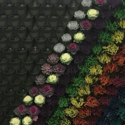 WonderWall - Single Section -Gardenista Store 130427 3