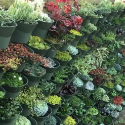 WonderWall - Single Section -Gardenista Store 130427 6