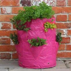Strawberry And Herb Patio Planter Twin Pack -Gardenista Store 130497 2