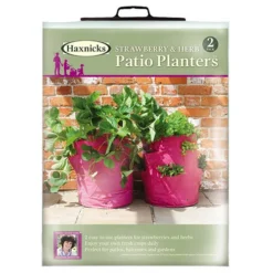 Strawberry And Herb Patio Planter Twin Pack -Gardenista Store 130497 4