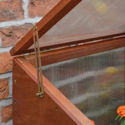 Hardwood Mini Greenhouse 7 Hardwood Mini Greenhouse -Gardenista Store 160265 2