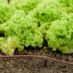 Flopro Beds & Borders Watering Kit -Gardenista Store 161002 2