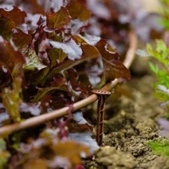 Flopro Beds & Borders Watering Kit -Gardenista Store 161002 4