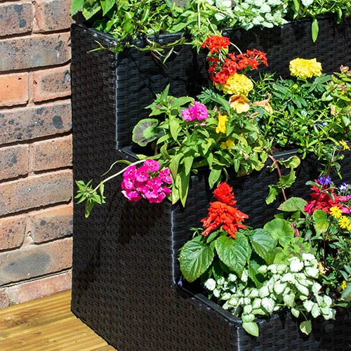 Tiered Rattan Planter In Black 2 Tiered Rattan Planter In Black - Image 2