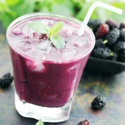 Morus Rotundiloba 'Mojoberry' Dwarf Mulberry -Gardenista Store 310092 6