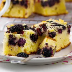 Morus Rotundiloba 'Mojoberry' Dwarf Mulberry -Gardenista Store 310092 7