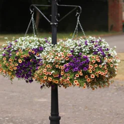 'Fruit Salad' Pre-Planted Basket 6 'Fruit Salad' Pre-Planted Basket -Gardenista Store 450013 2