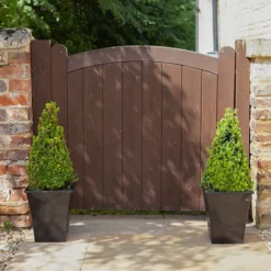 Pair Of Buxus Box Pyramids -Gardenista Store 510034 2