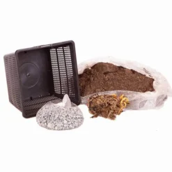 Water Lily Planting Kit - Yellow -Gardenista Store 580028 4