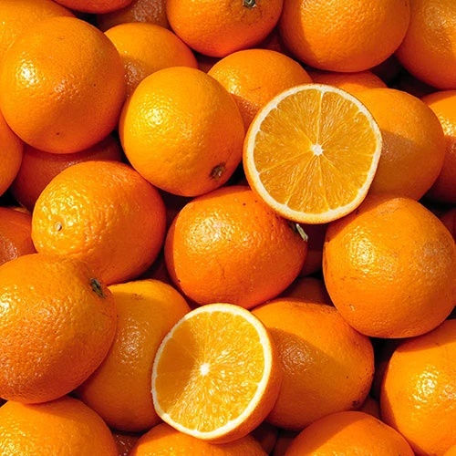 Pair Of Large Orange Trees 3 Pair Of Large Orange Trees - Image 3