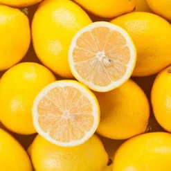 Pair Of Large Lemon Trees -Gardenista Store 680092 2